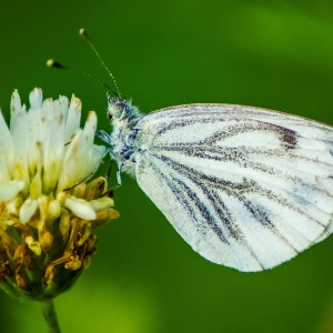 inbound5697434444882320619