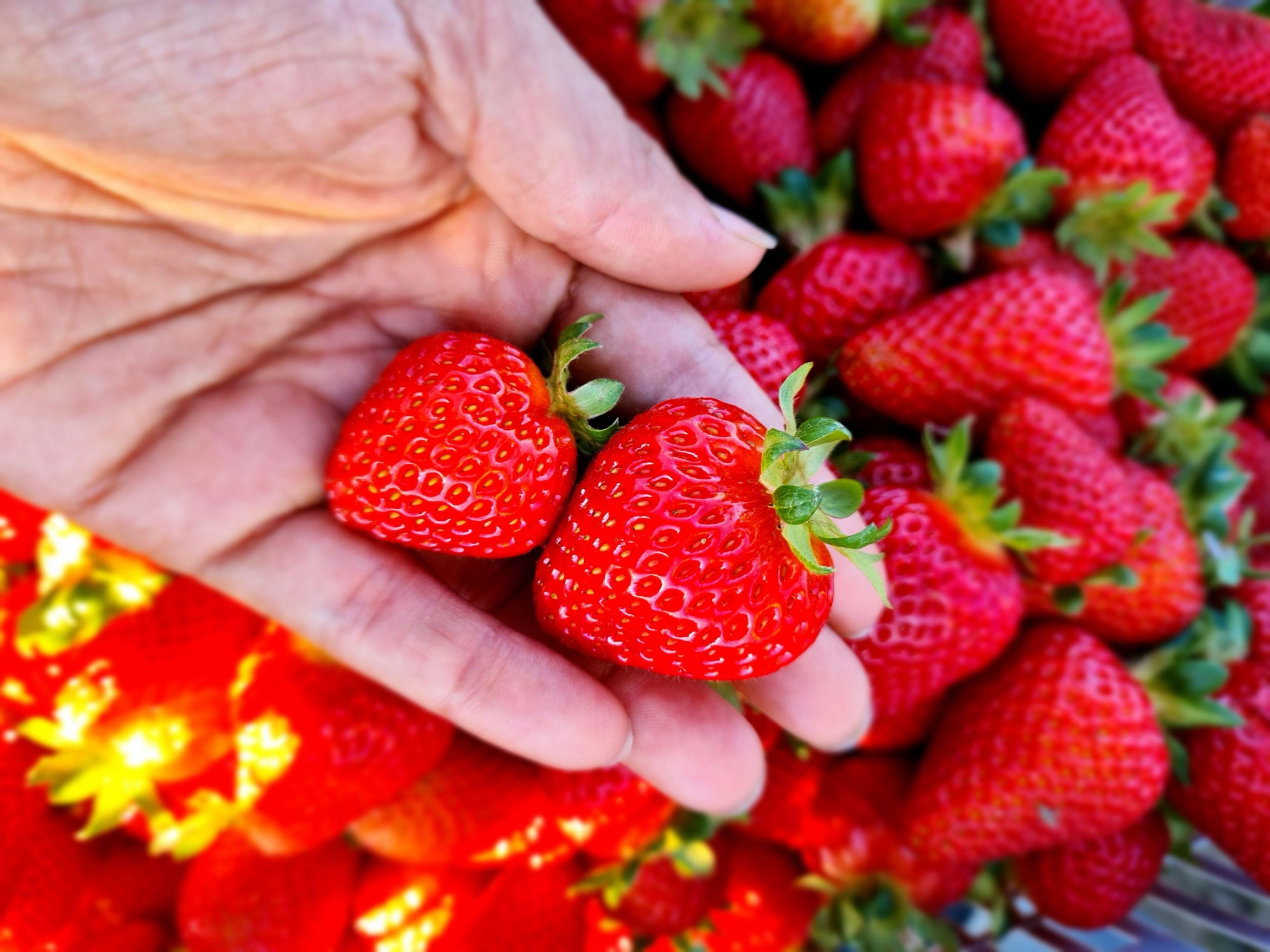 inbound5662735564292852700