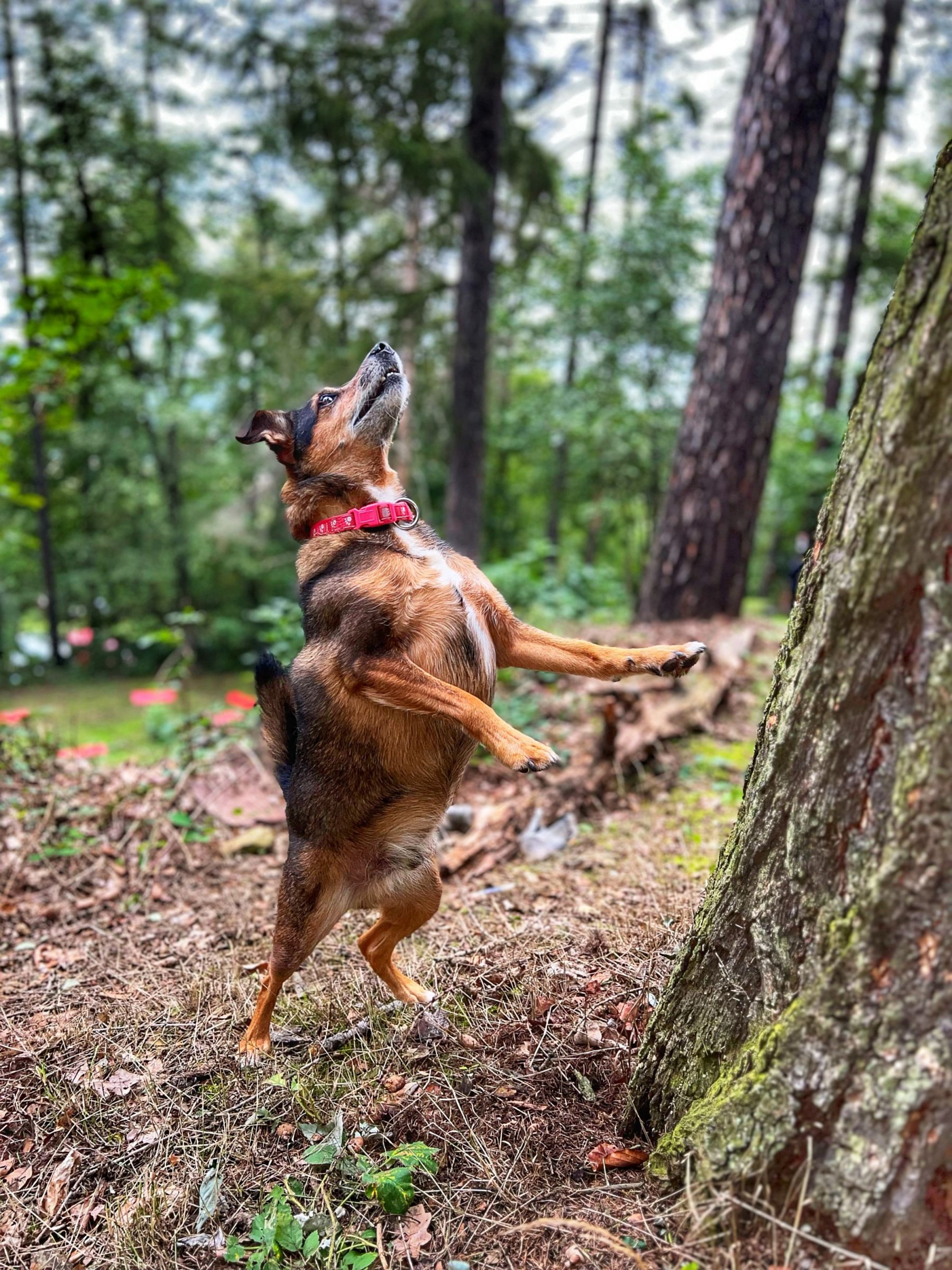 971C310B-D370-4FFC-B295-67FE2D16FE88