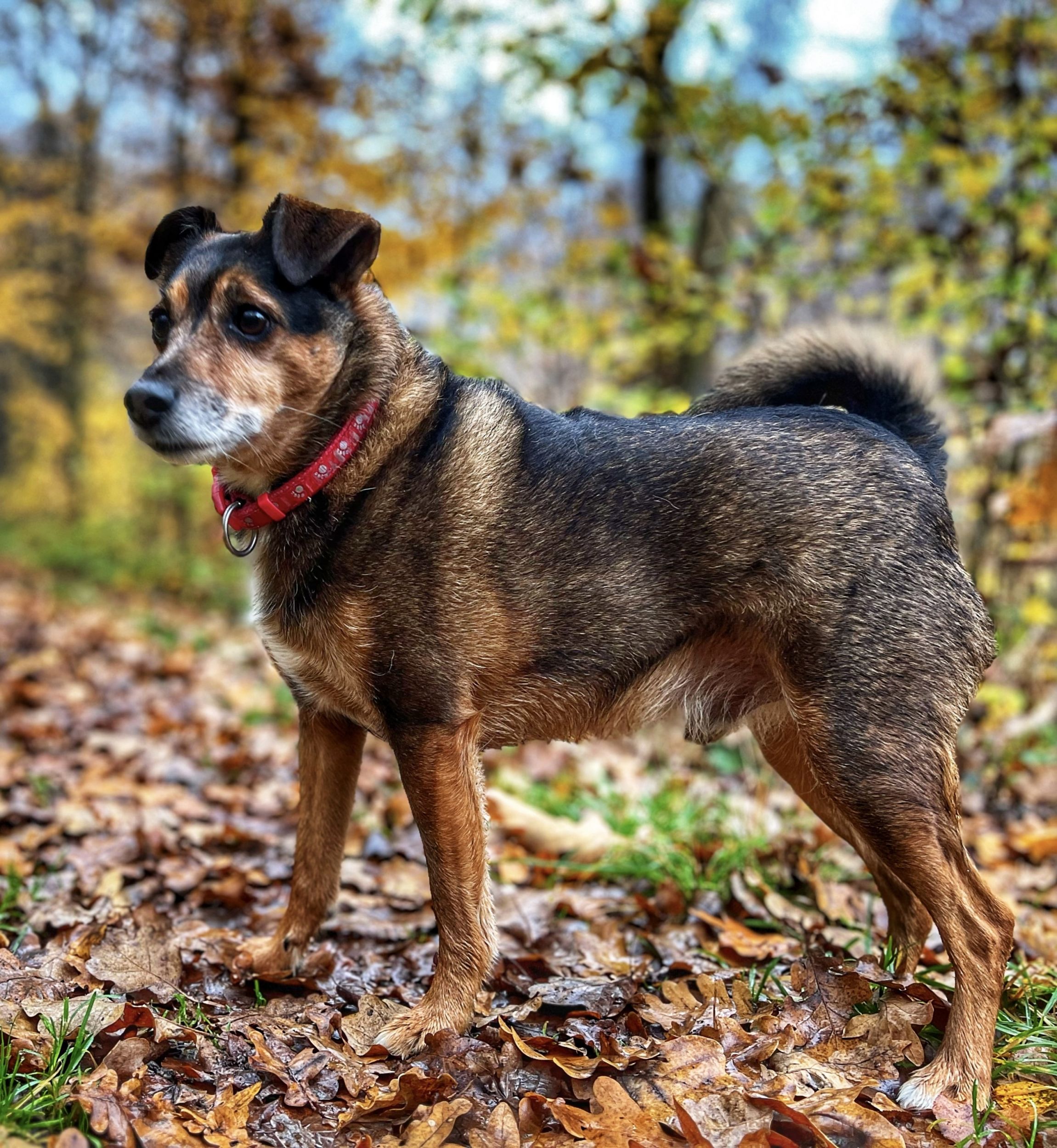 87ABF23B-F1B9-4112-BC15-CB96AD5E73F1