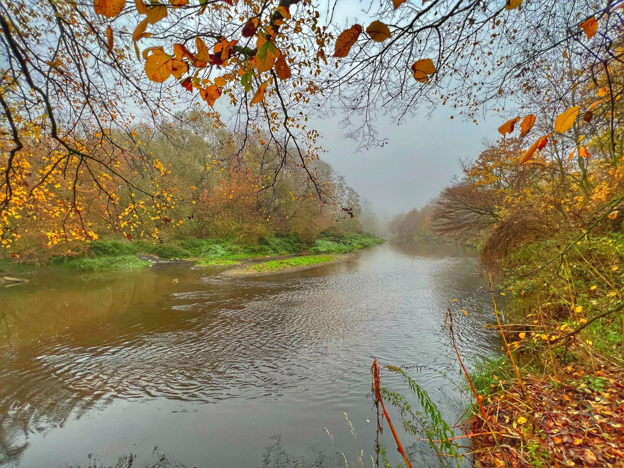 492B1F04-FE85-4032-B900-370E8115D98A