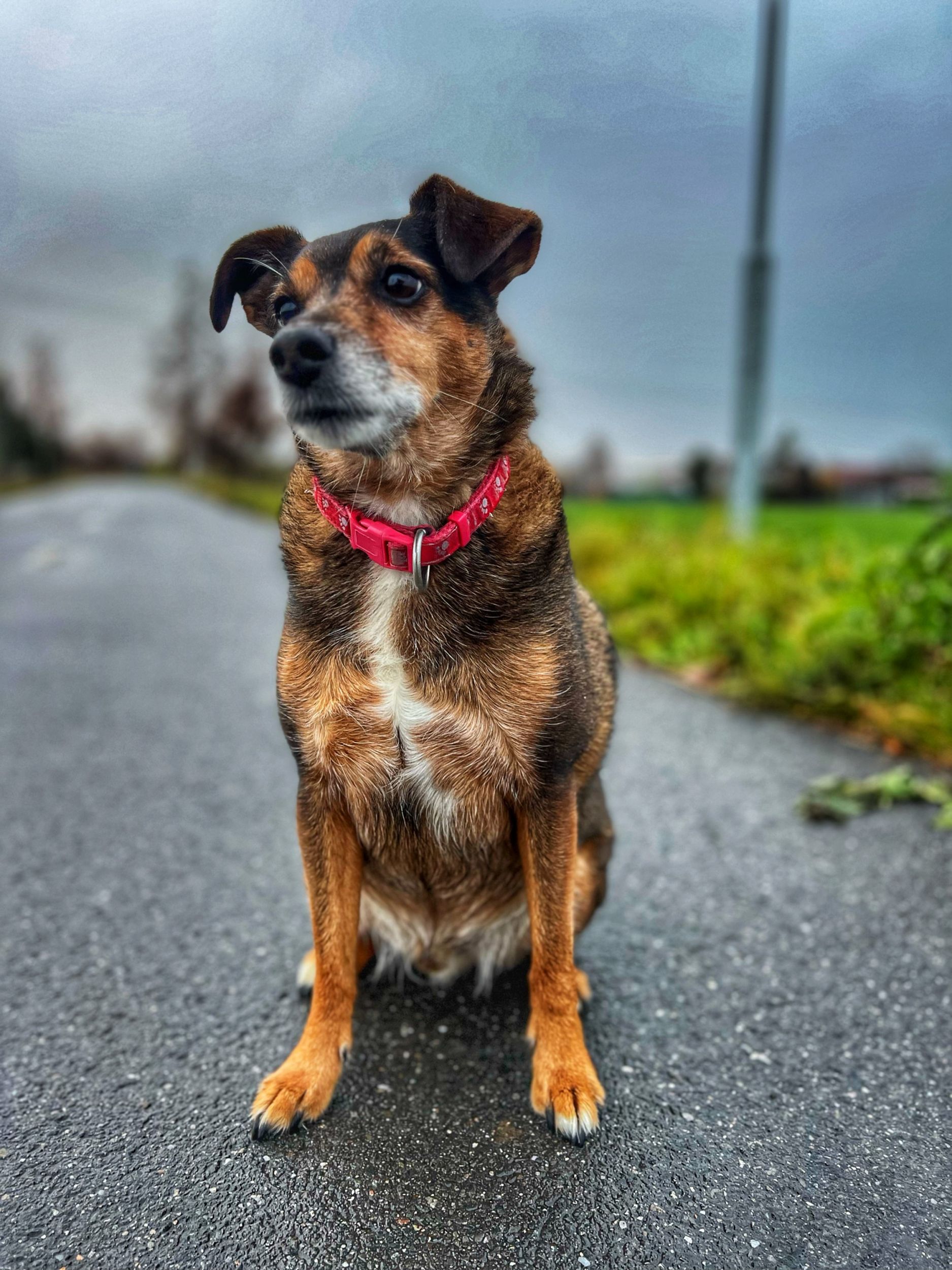 4FD3984B-8985-40E2-B973-295AA5CB42E5