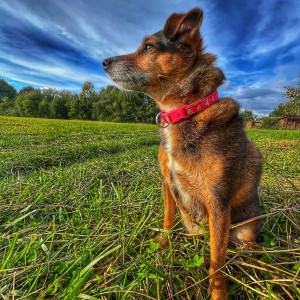 832E5A7D-6B46-4DDA-9220-55F1AC5E39B8