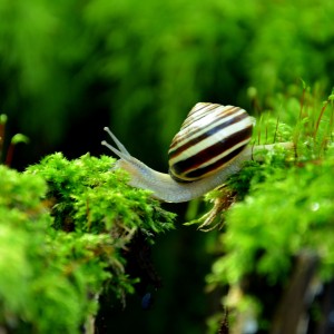 inbound122790301737642123