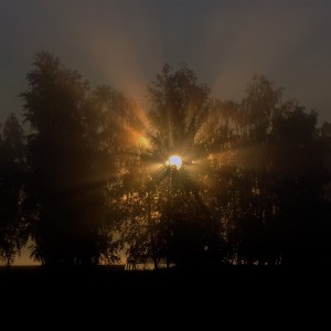 100_5478