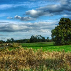 received_481039494074463-01