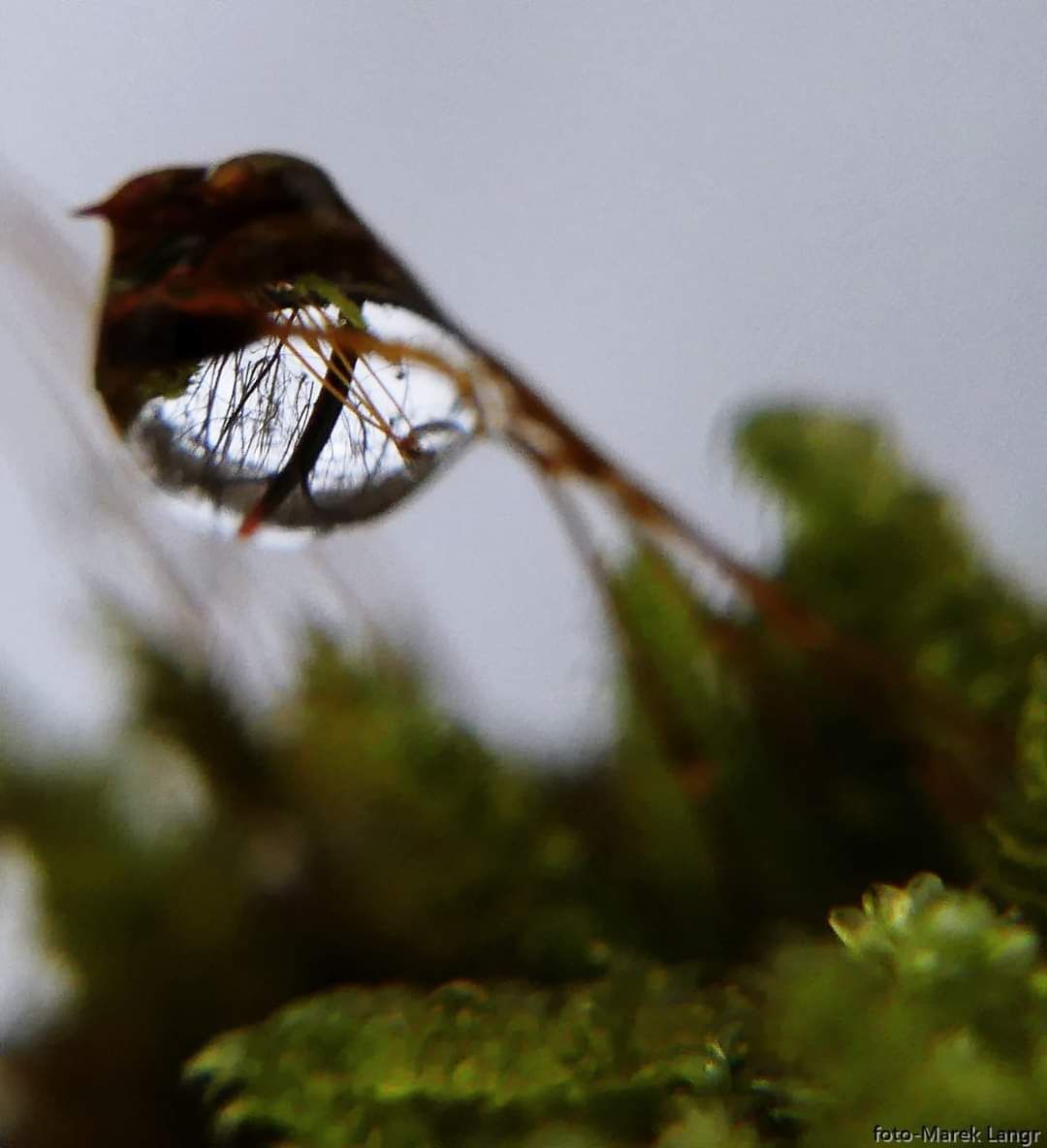 inbound3746284970111112004