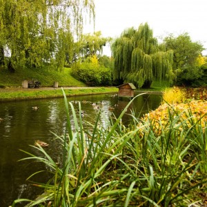 122089648_3335852446450123_3489164441989994027_o