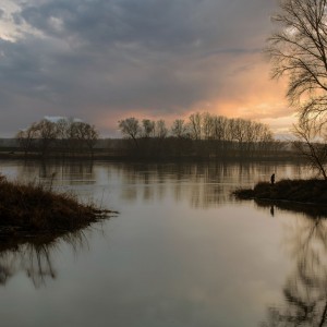 _DSC6319