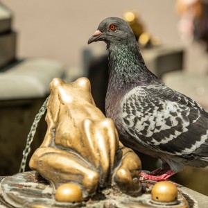 DSC_4003