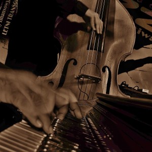 Roze_Jazz_Festiwal_Wojtek_Groboz_Trio_Foto_Bruno_Aleksander_Kiec