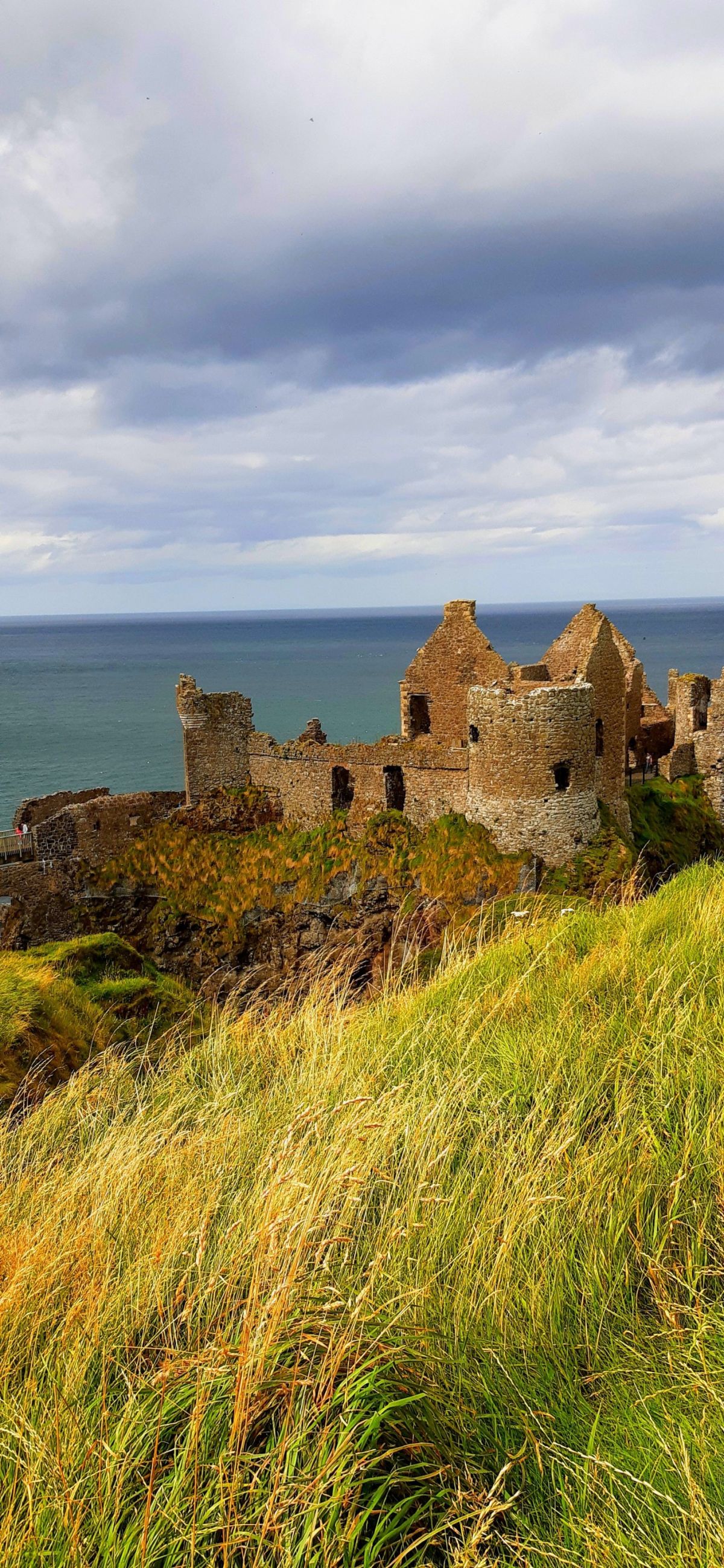 inbound8303587834136781581