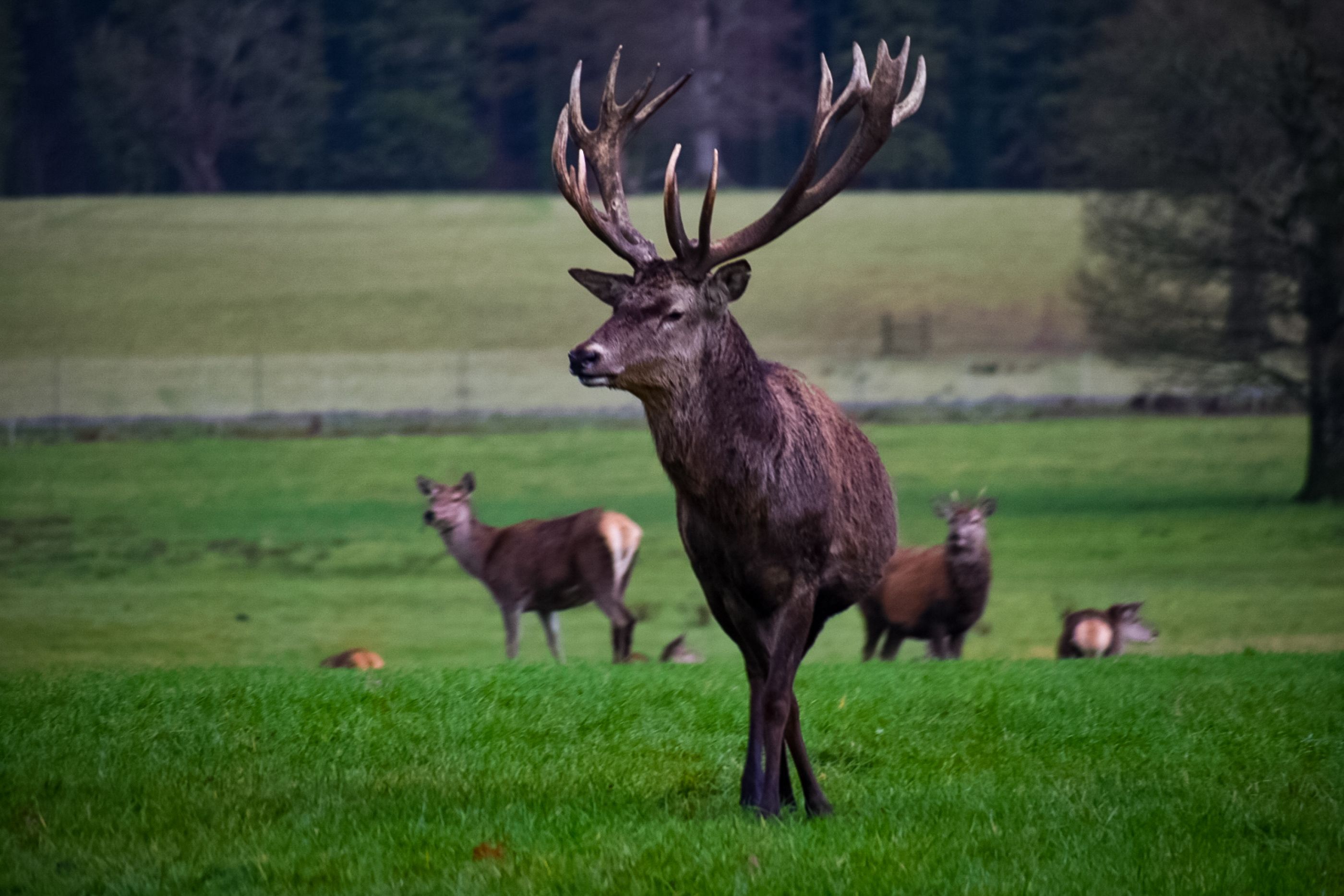 inbound3901112001445151701