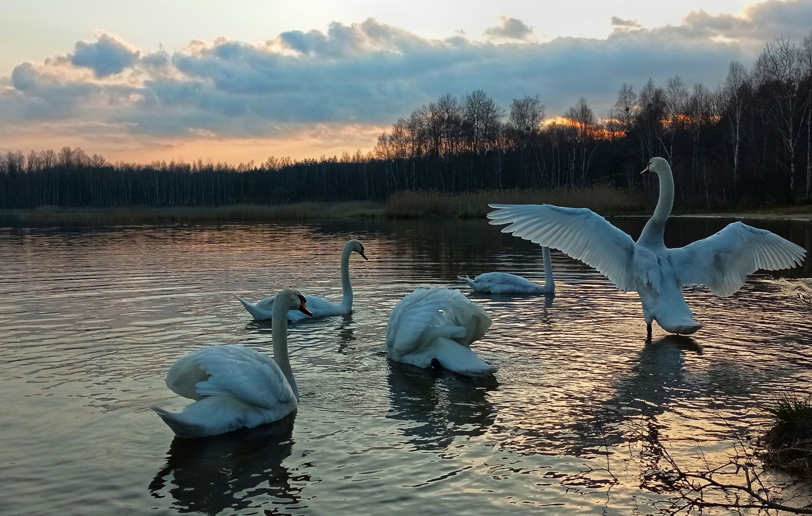 inbound6761753777152364636