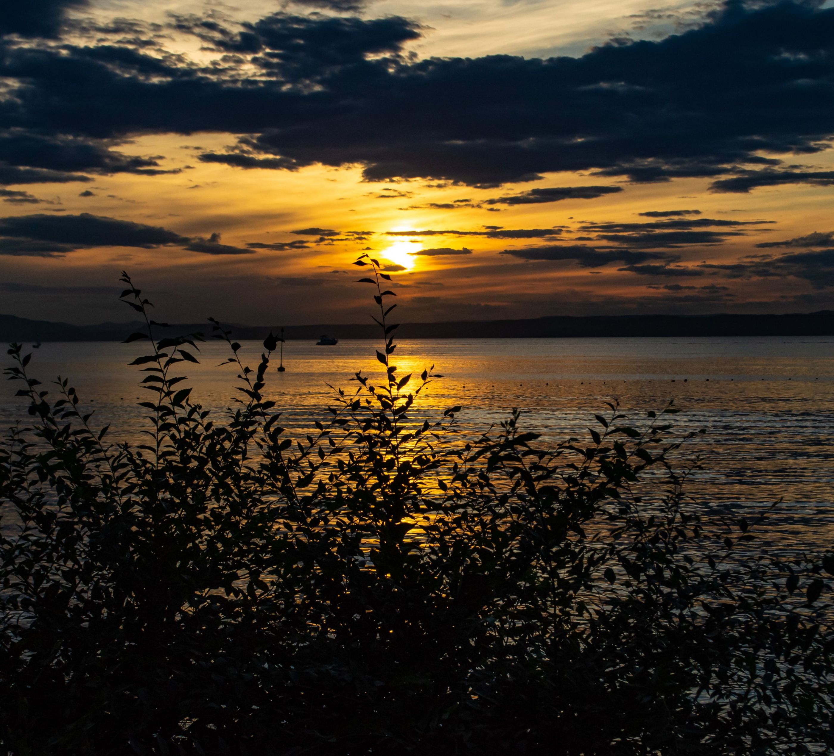 Амурский залив