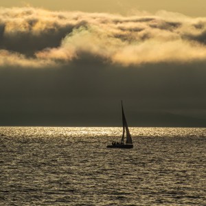 Амурский залив