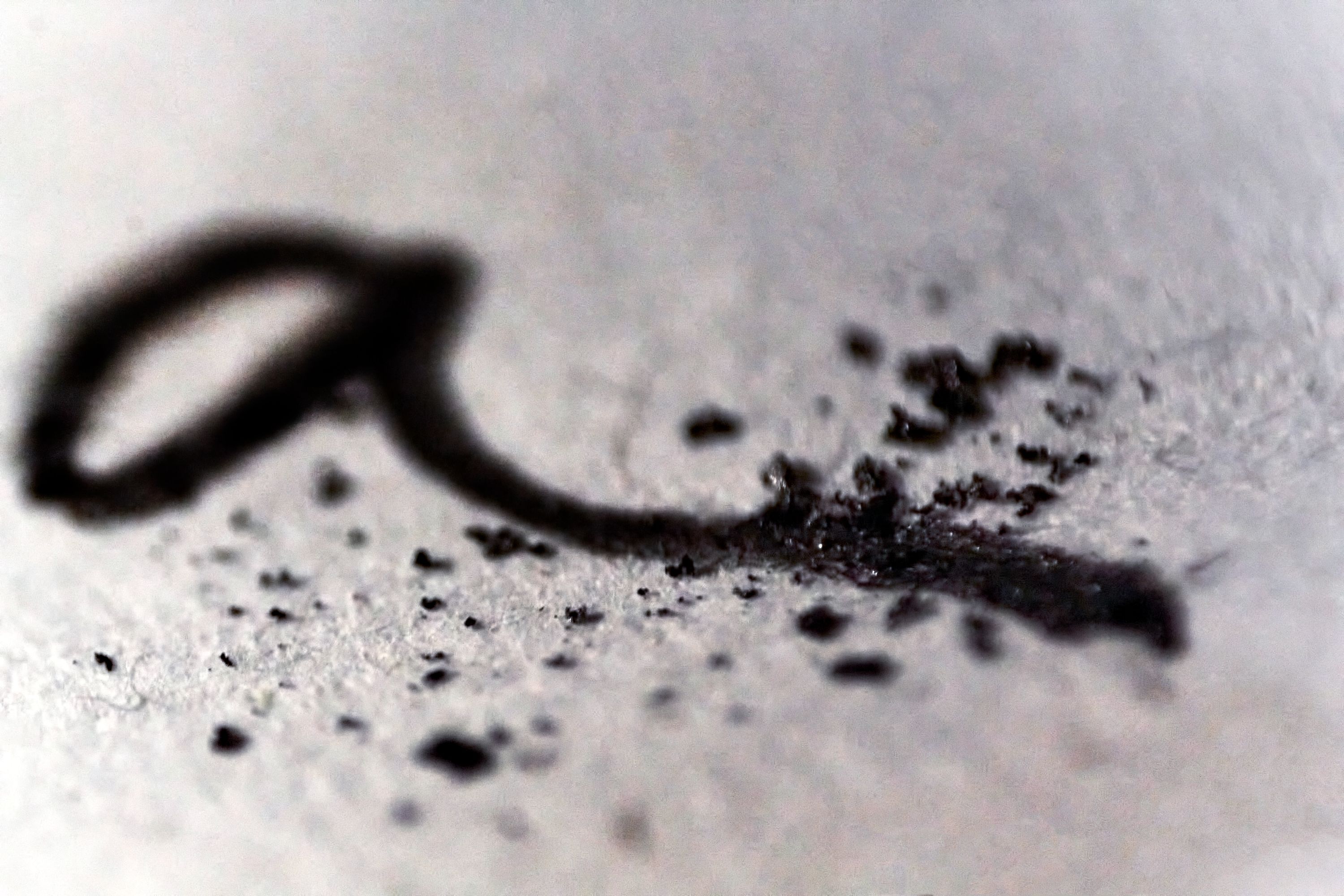 Foto macro de una escritura a lápiz