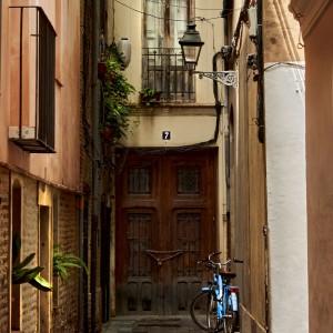Blue bike