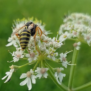 229658589_4272208029499381_8042645649432946368_n