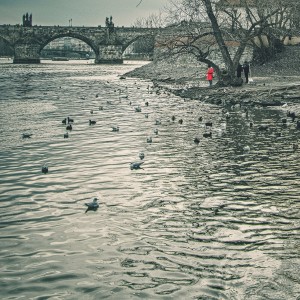 Vltava River