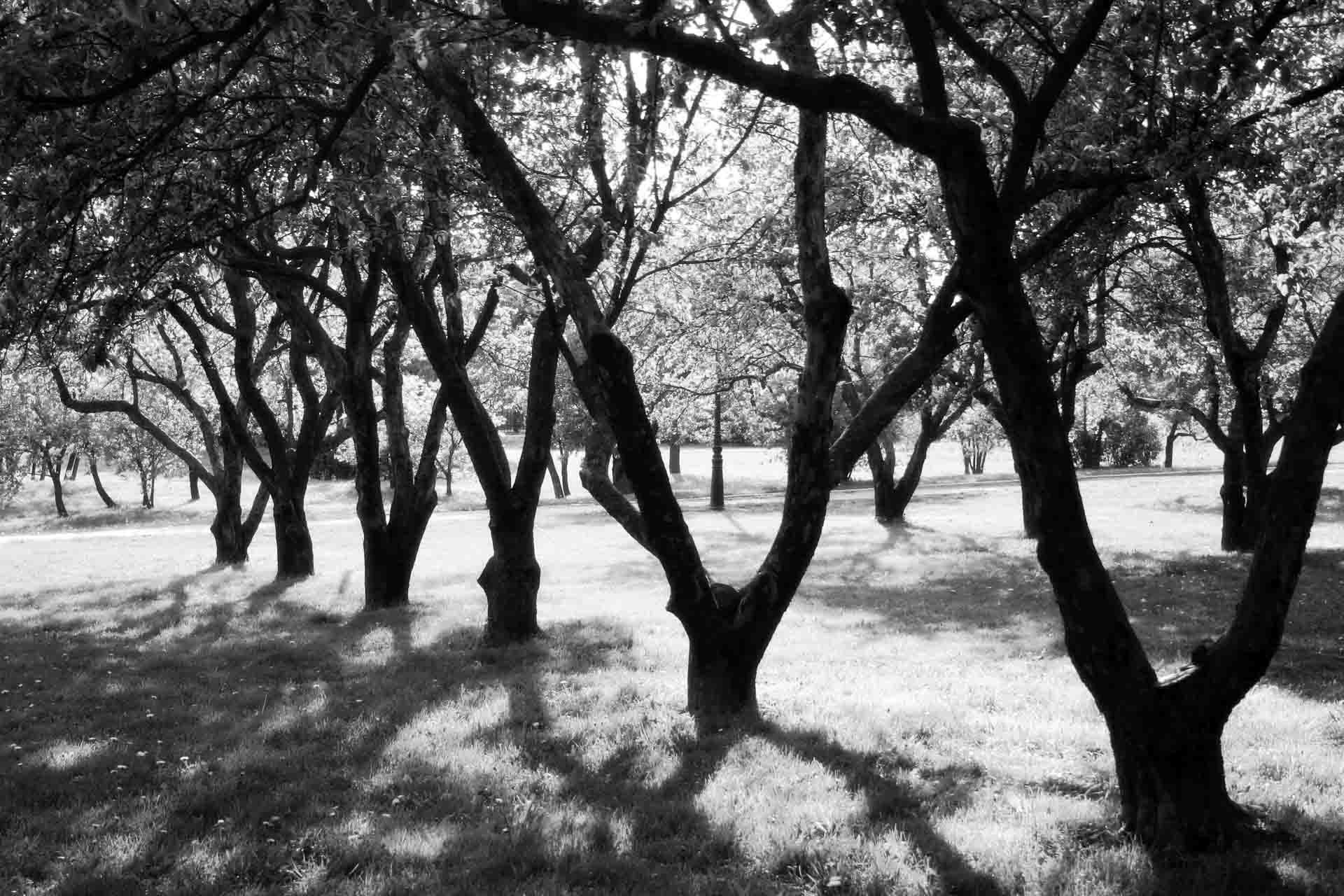 x0812_117-g1