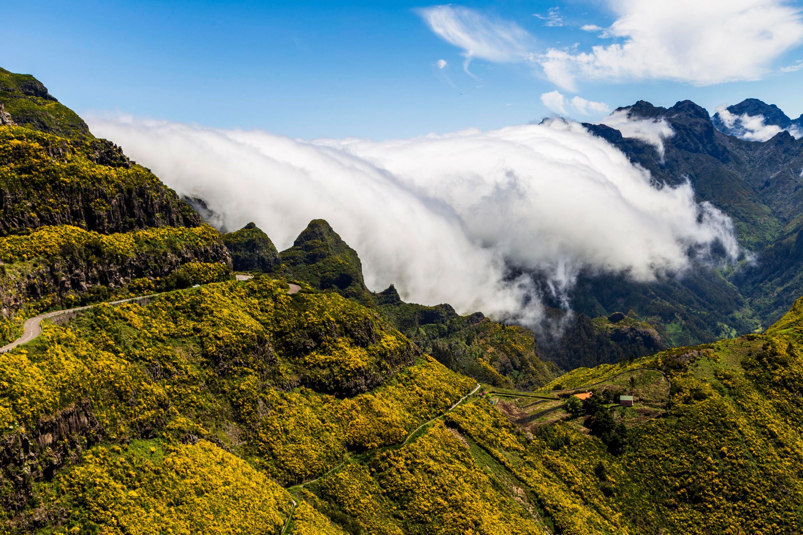 Farebná Madeira