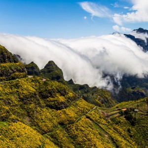 Farebná Madeira