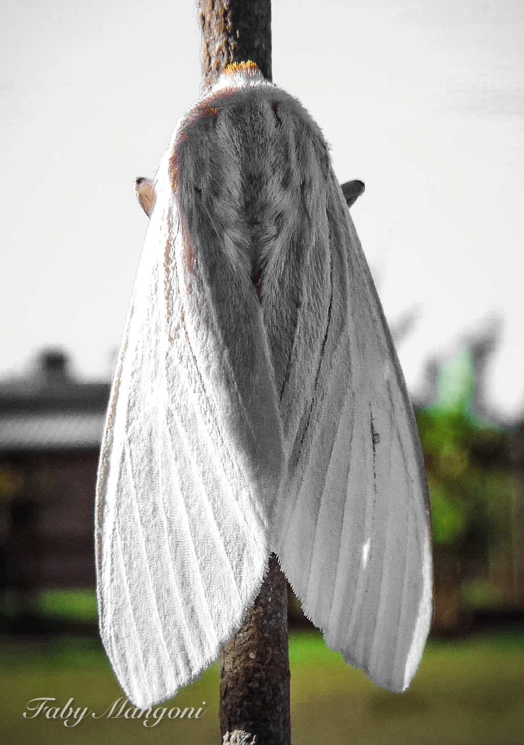 AECC51F6-BCE6-4EC0-97D9-D5FE926A6C22