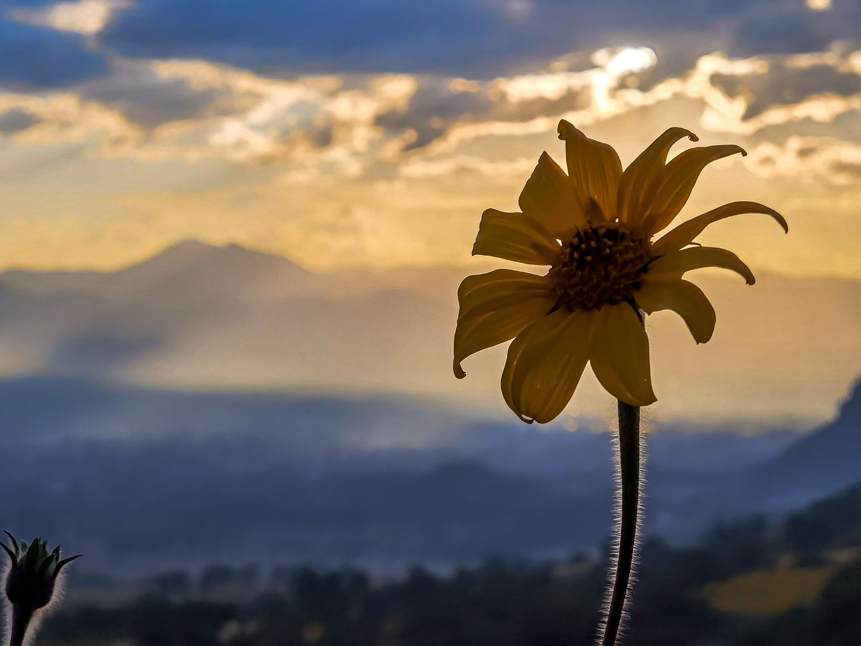 Atardecer en el cerro