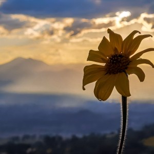 Atardecer en el cerro