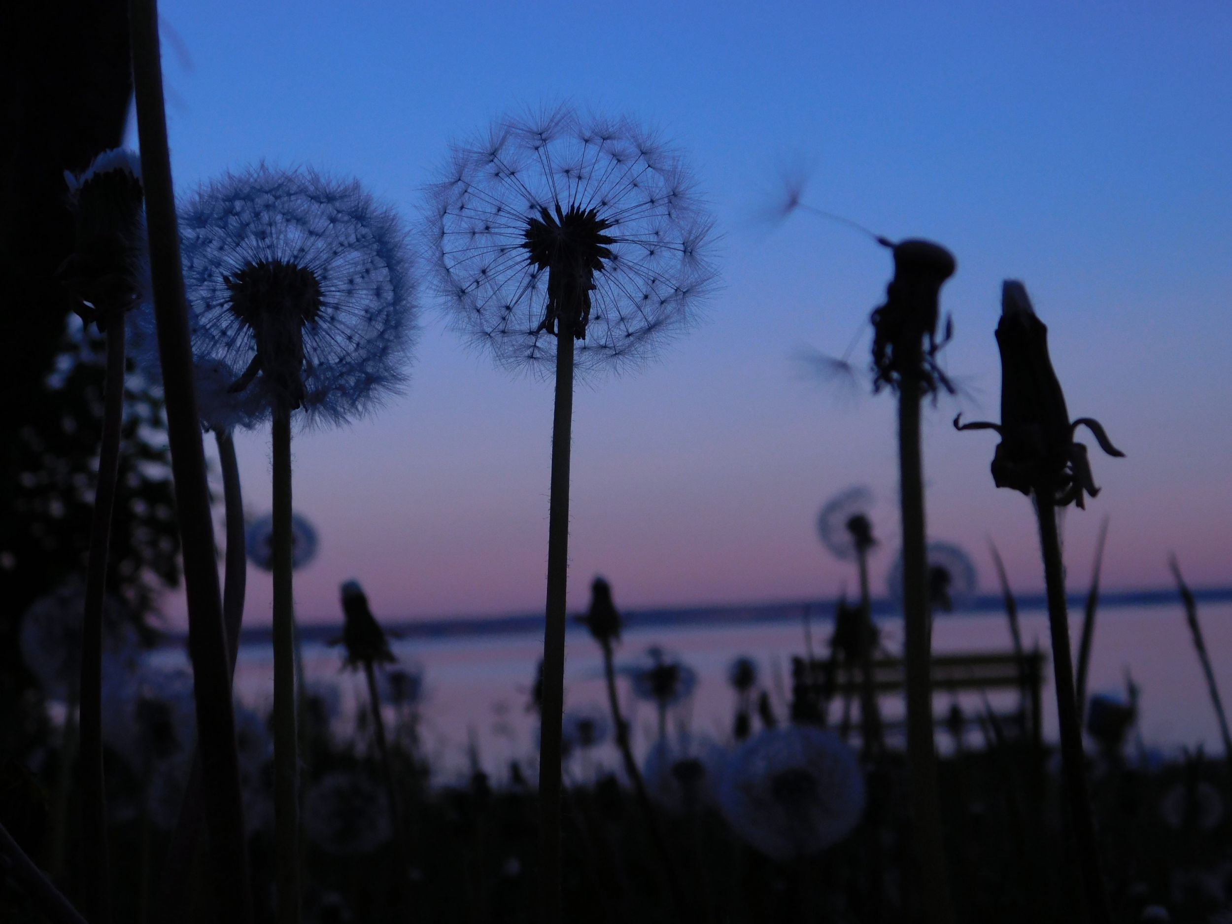 DSCN0025