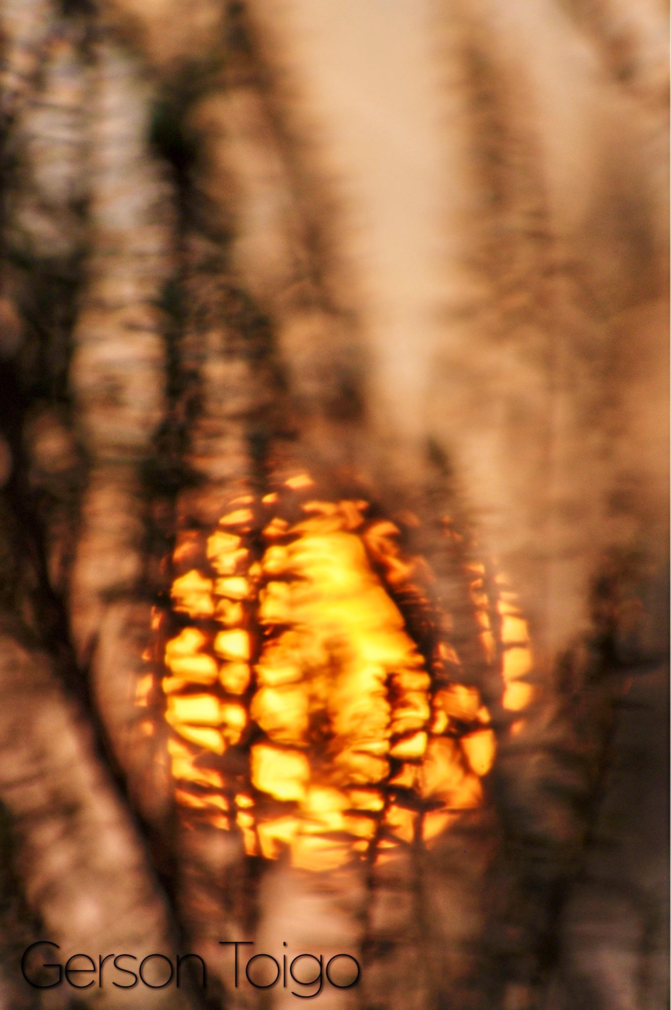 A45E3DD0-1AFD-4FA4-8F39-3654EAEB1F45