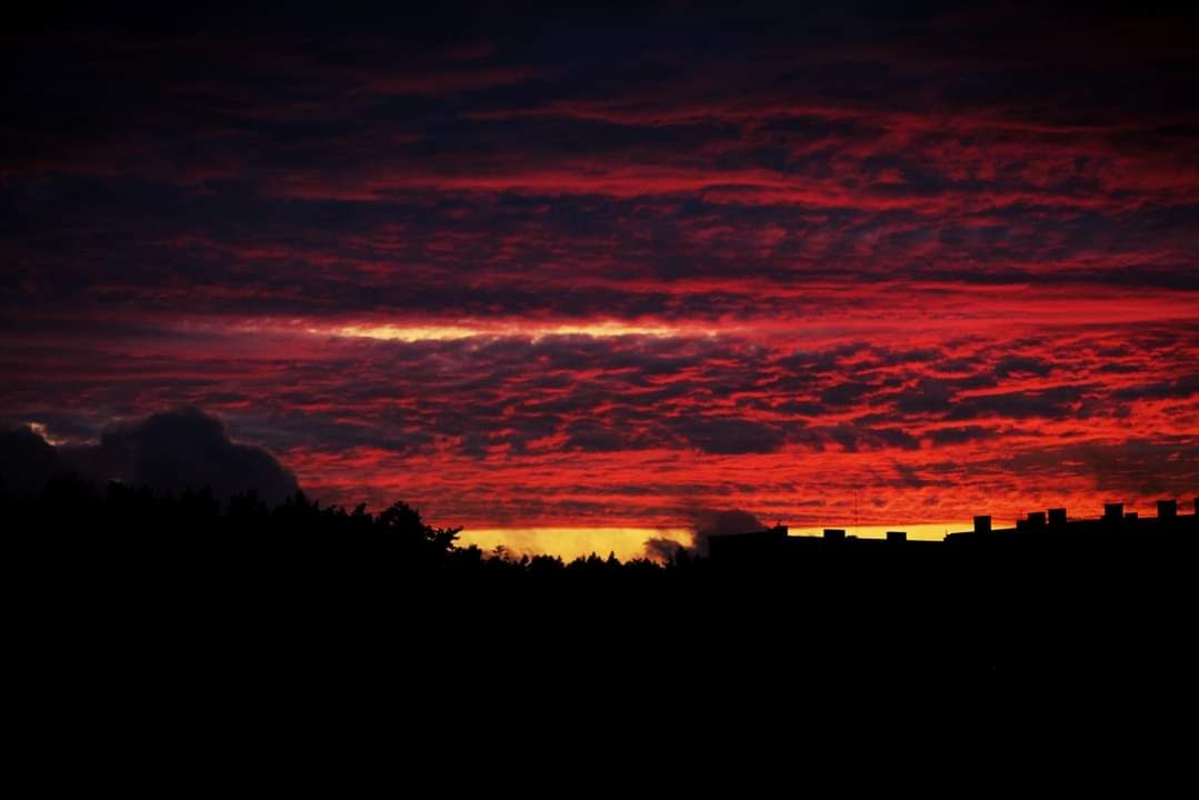 FB_IMG_1625688179515