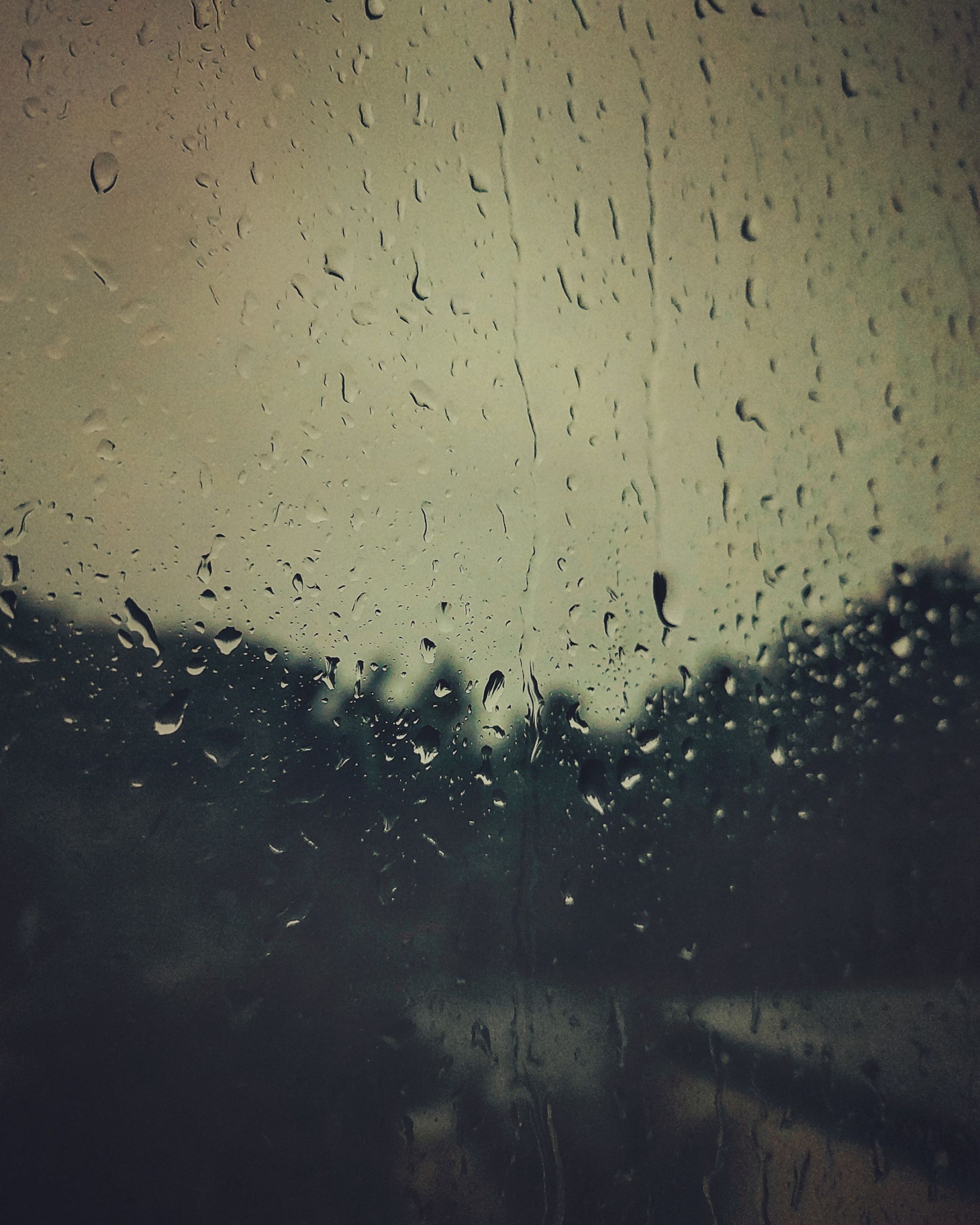 inbound3448092149444091665