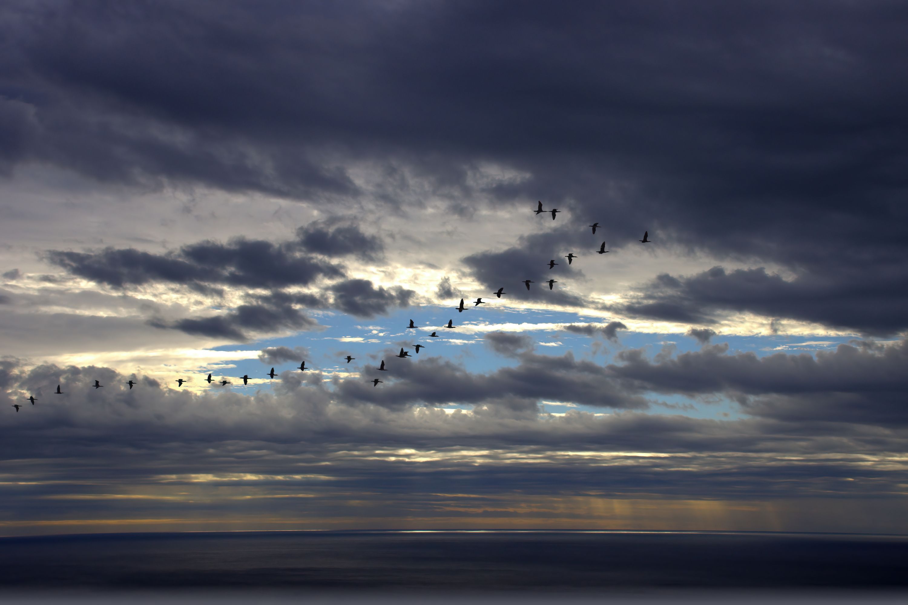 Flight before a long journey