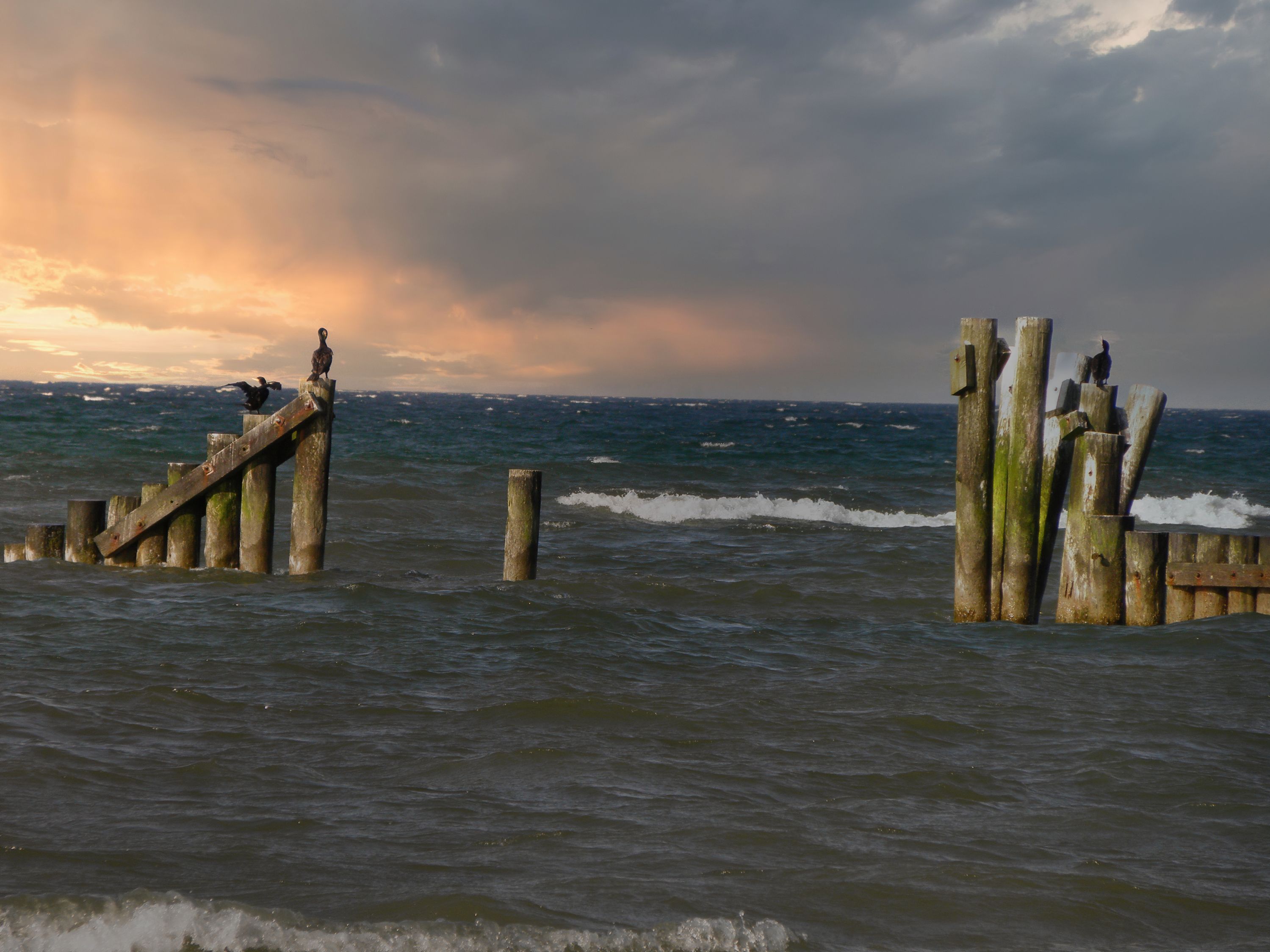 Flying fishers