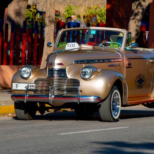 _MG_5006-