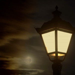 Masters of the night lights