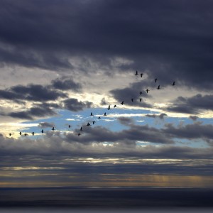 Flight before a long journey