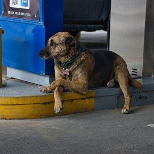 On the gas station.