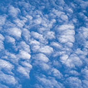 Природная абстракция/Natural abstraction