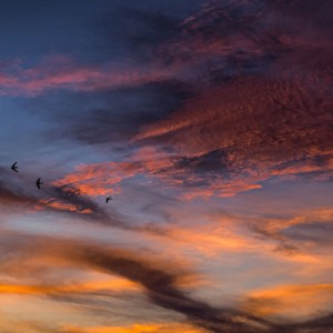 Природная абстракция/Natural abstraction