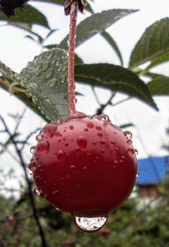 IMG_20210704_191149_1-02~2