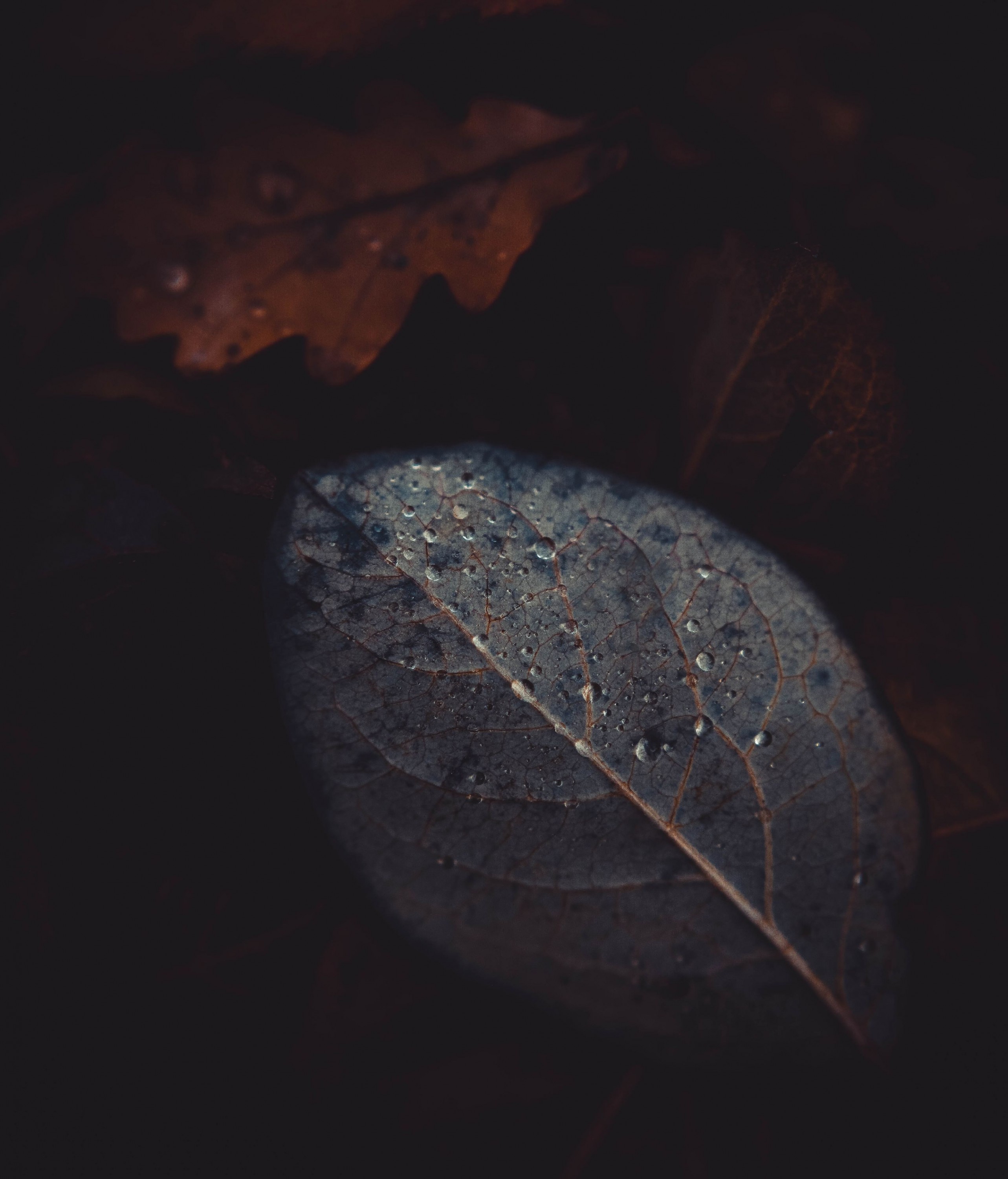 20211114_124823