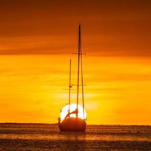 _DSC2638