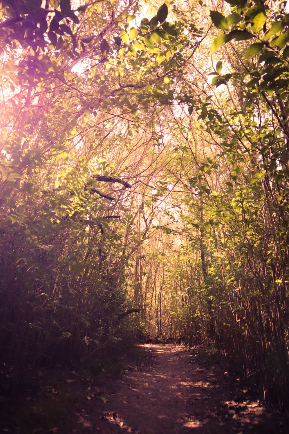 Córdoba, Argentina