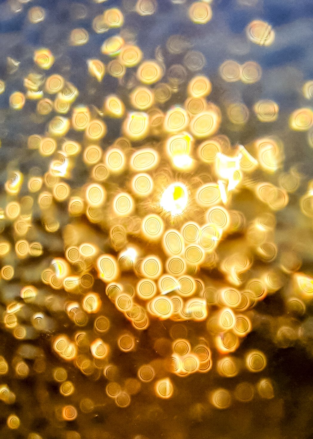 20210810_082542