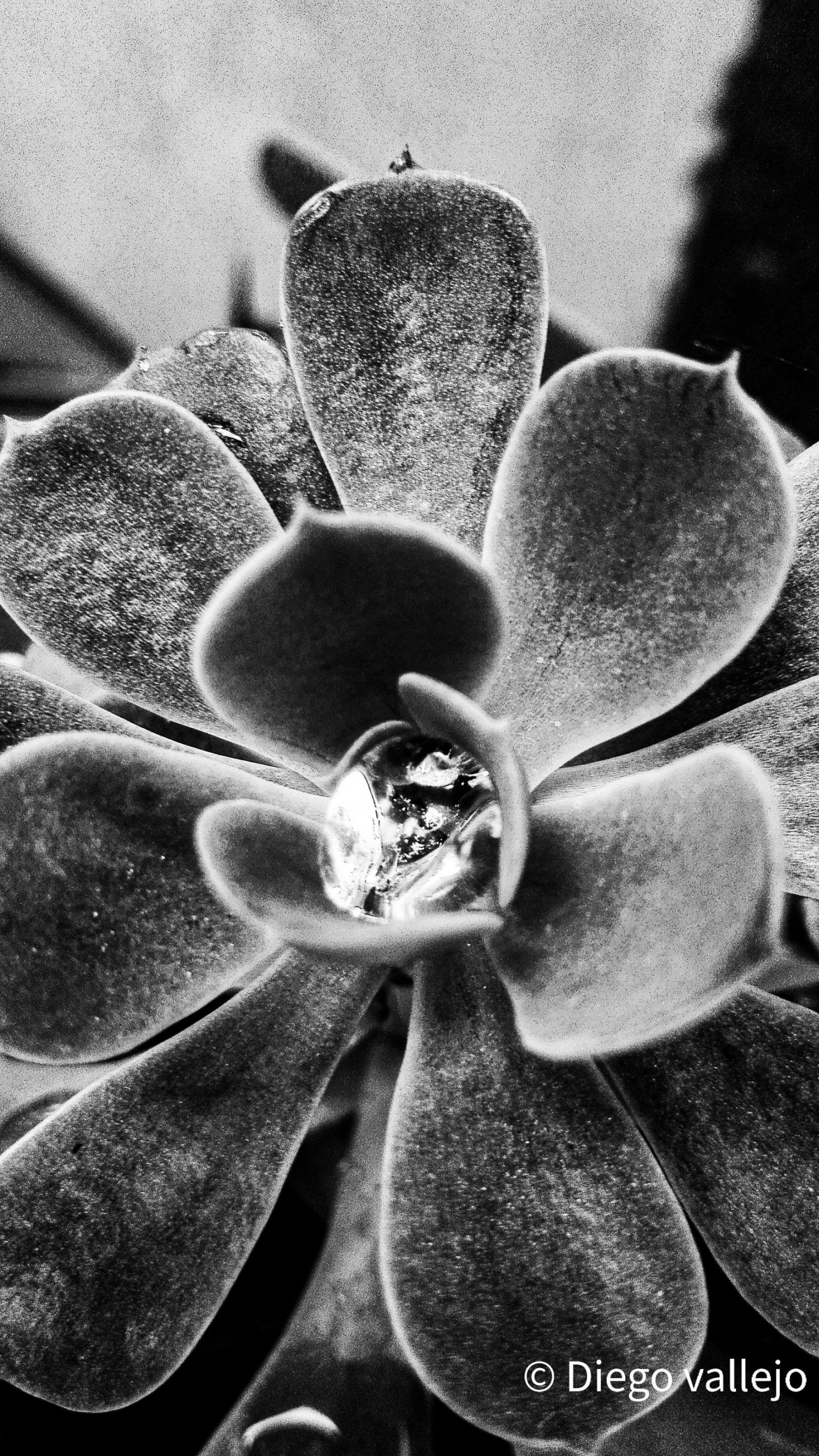 IMG_20210523_160717_2_edited