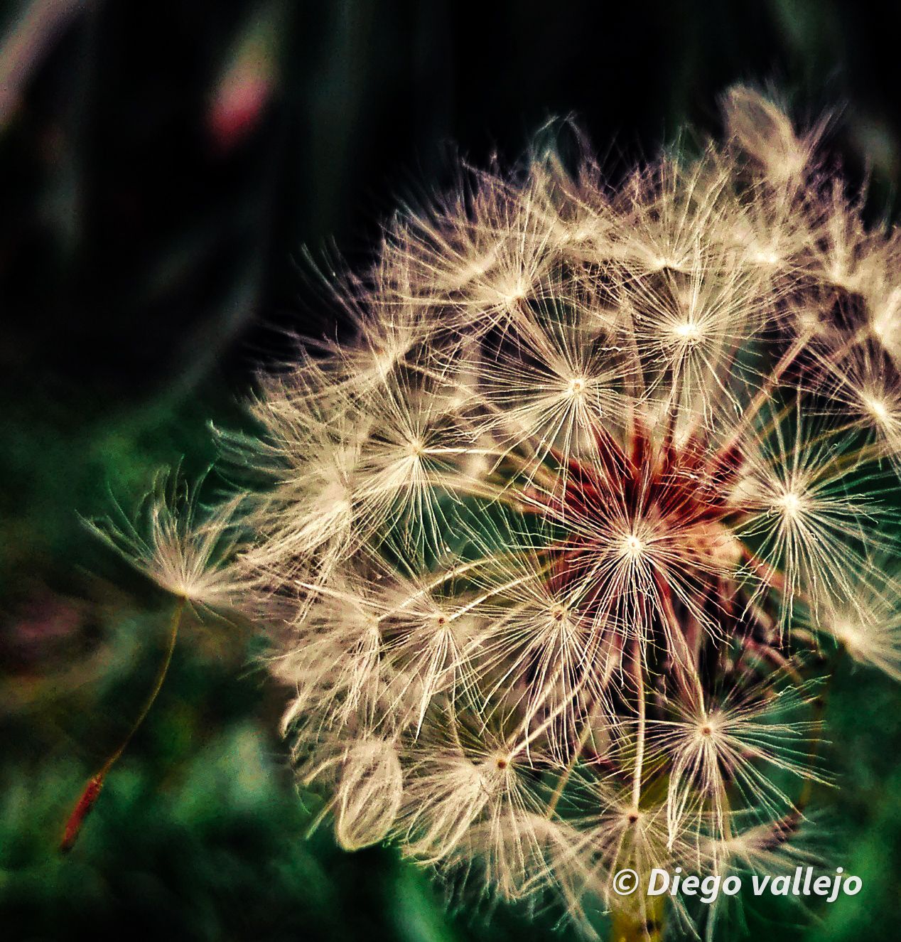 IMG_20201024_130520-01