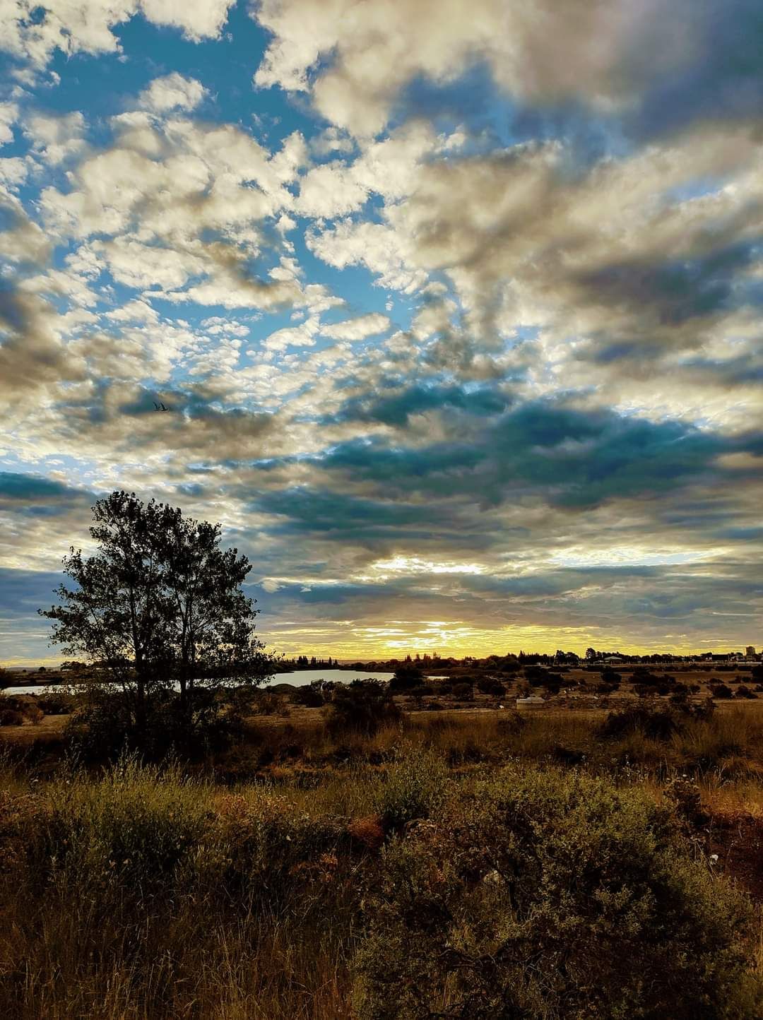 FB_IMG_1627076899914